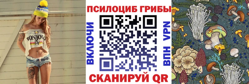 Псилоцибиновые грибы ЛСД  Юрьев-Польский 