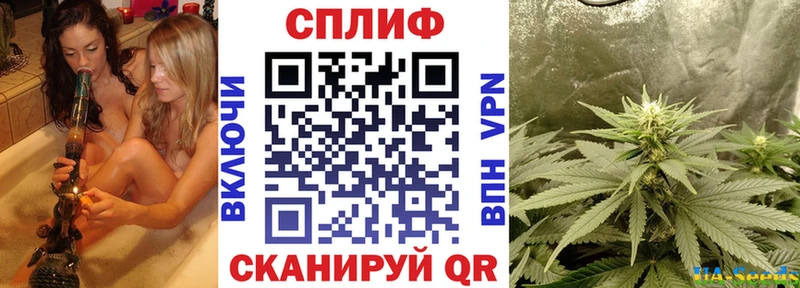 Конопля Amnesia  дарнет шоп  Юрьев-Польский 